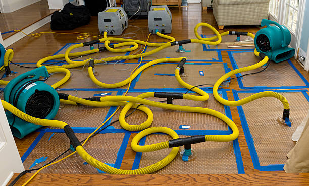 Professional Basement Flood Cleanup technician working in Shannock, RI